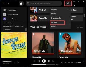 Add Local Songs To Your Streaming Services (Spotify, Apple Music, Or YouTube Music)  